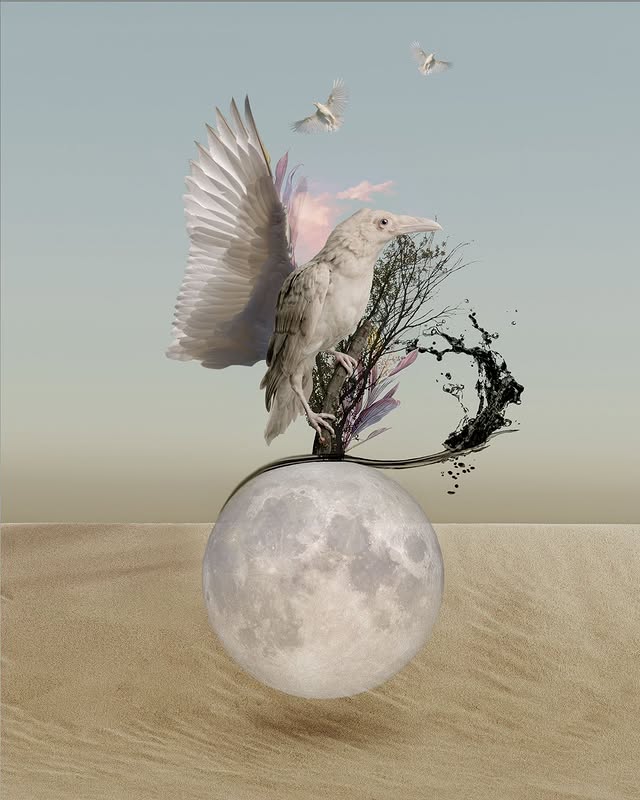 White Wings #2